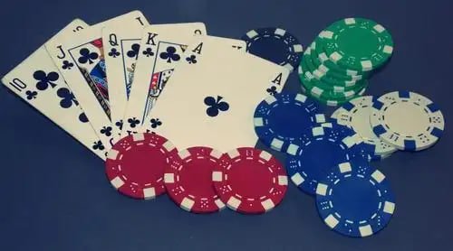 Dashboard pasar VCT di yuktogel menampilkan odds langsung, grafik performa, dan statistik tim